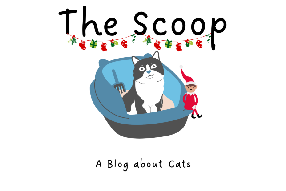 Christmas The Scoop Blog